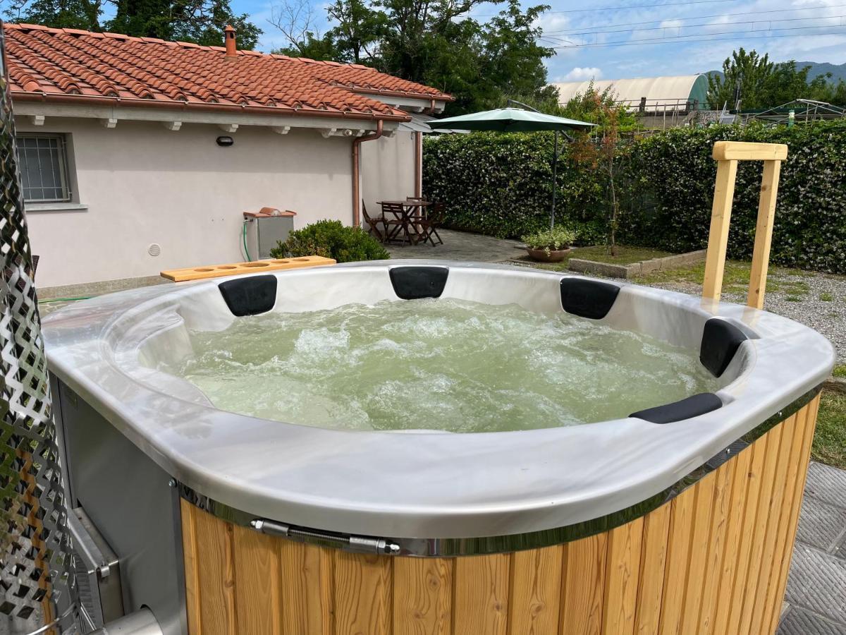 Holiday home La Camelia Massa e Cozzile